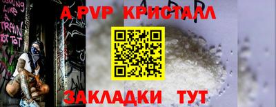 твердый Бийск