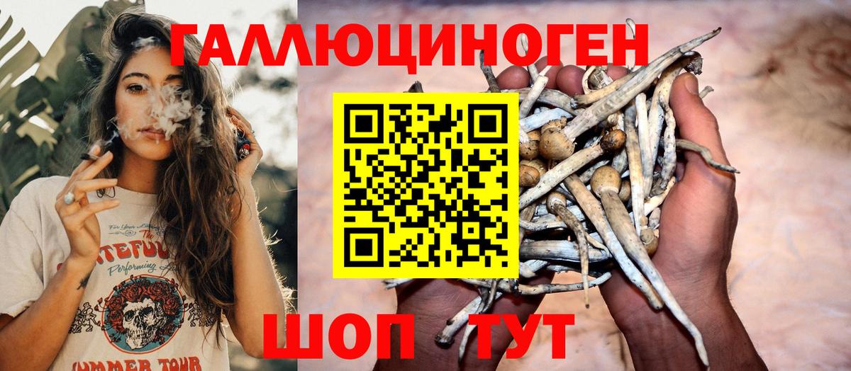 Псилоцибиновые грибы Magic Shrooms Грозный