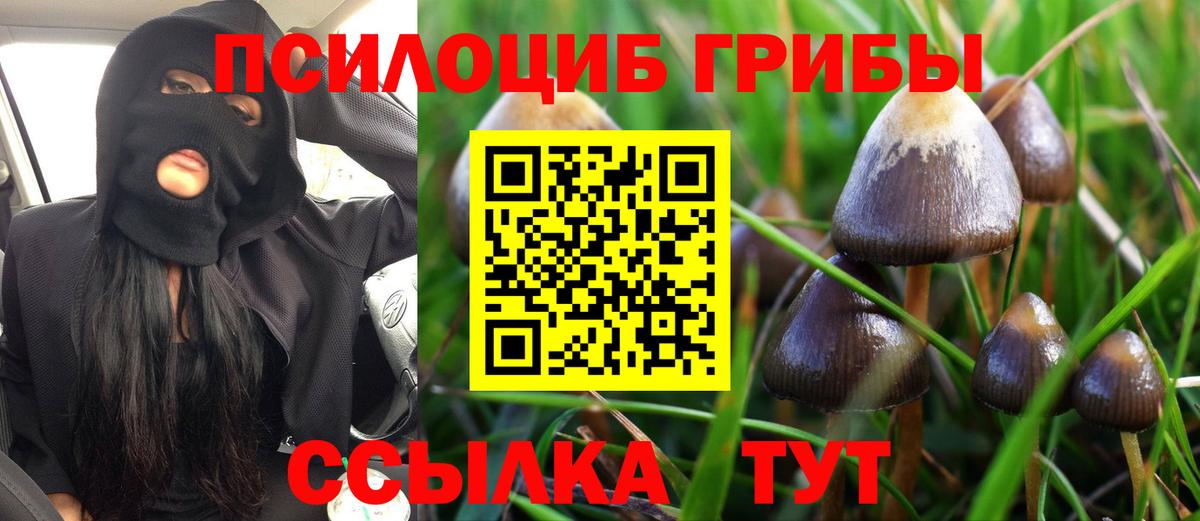 даркнет сайт  Галлюциногенные грибы мицелий  Вход с VPN  Галлюциногенные грибы Magic Shrooms  Грозный 